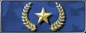 Competitive rank